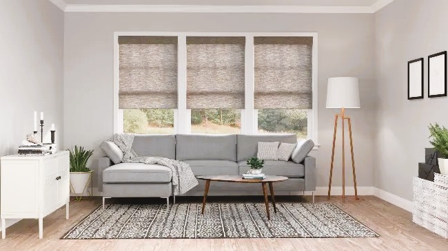 Modern Window Roller Shades