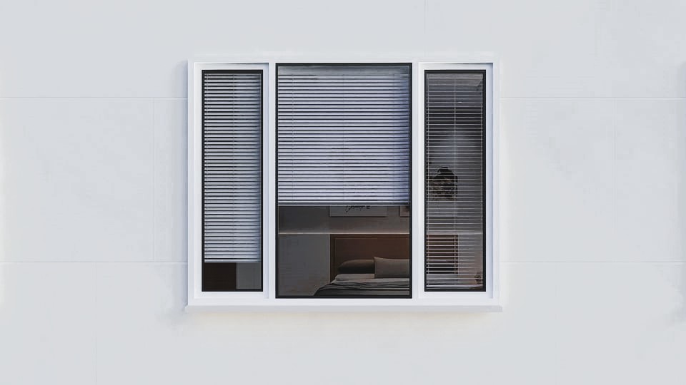 Window with blinds