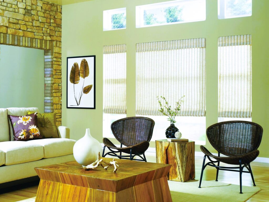 roller shades living room