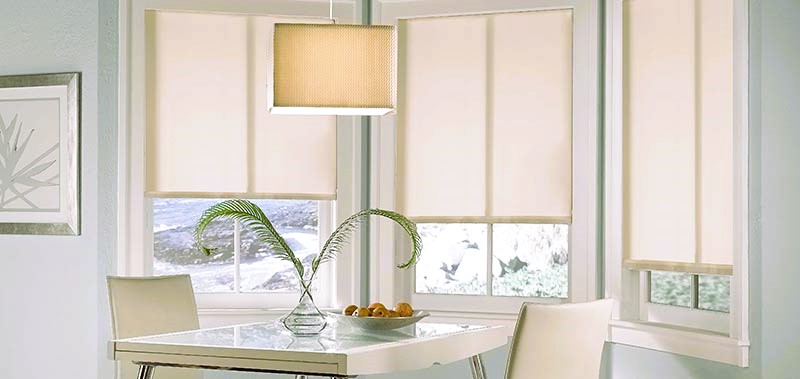 Eco-Friendly Choices for Window Coverings